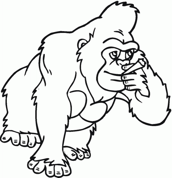 Gorilla primate coloring page image