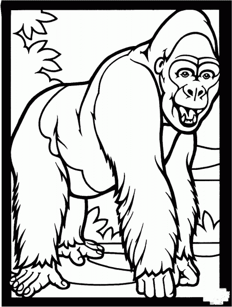 Gorilla Smiles coloring page image