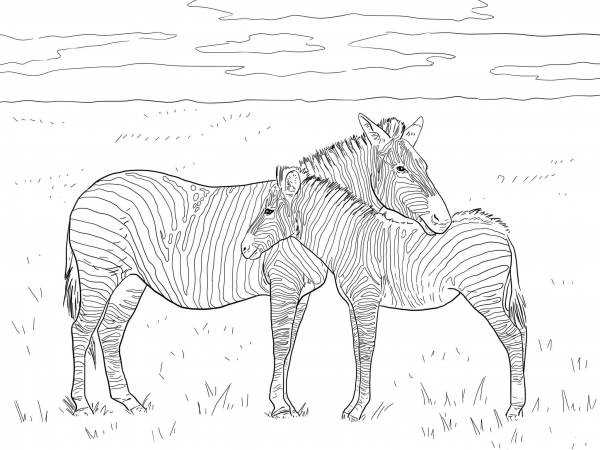 Grant’s Plain Zebras coloring page image