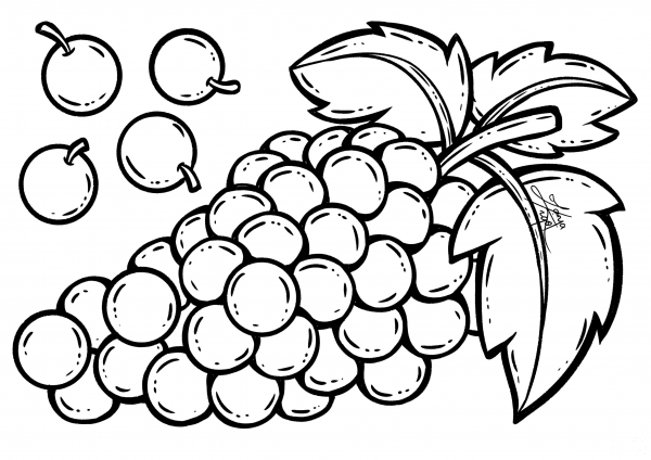 Grape coloring page image