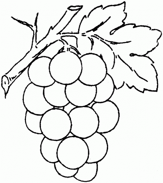 Grape coloring page image
