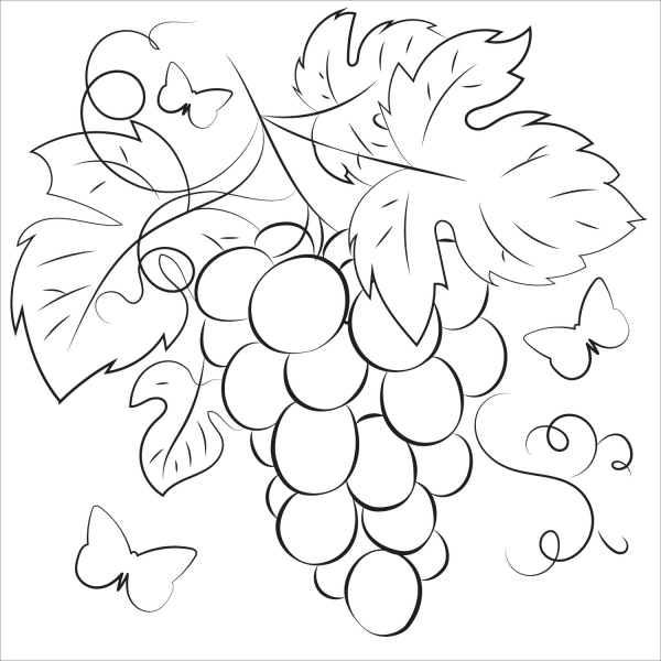 Grape coloring page image