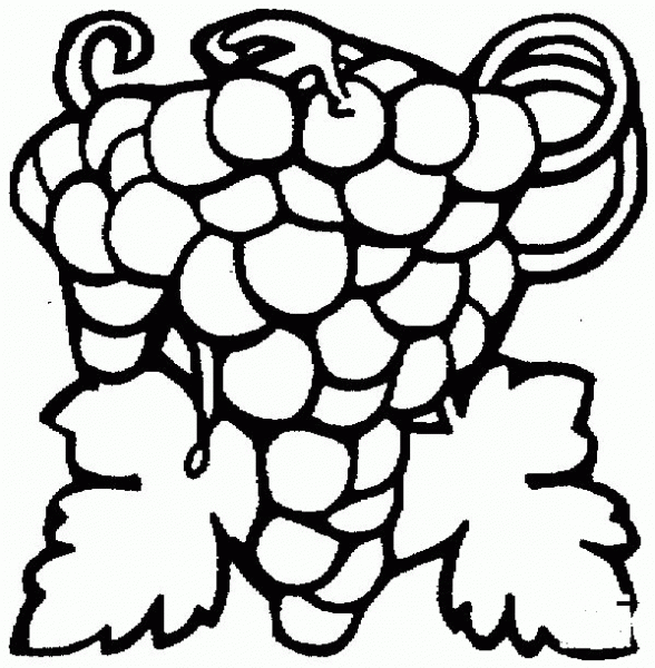 Grape coloring page image