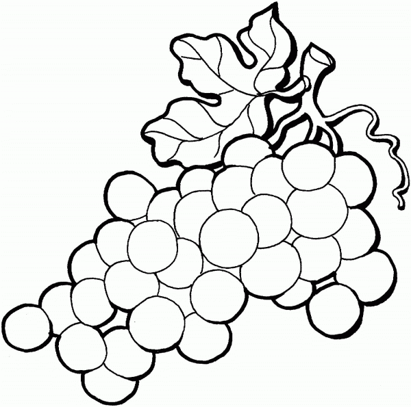 Grape coloring page image