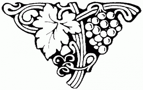 Grape coloring page image