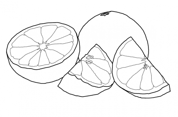 Grapefruit coloring page image