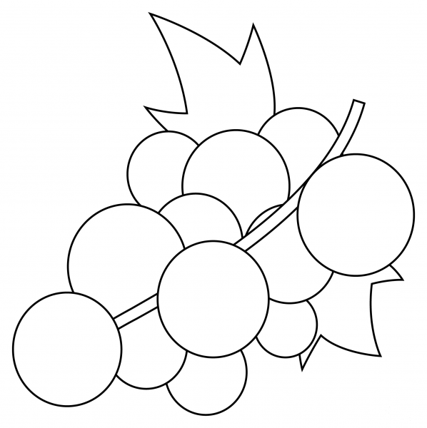 Grapes coloring page image