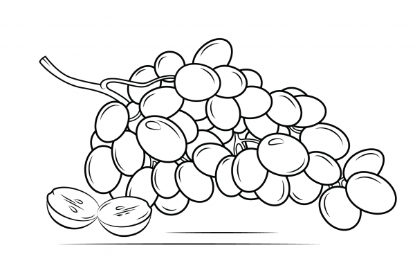 Grapes coloring page image