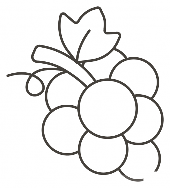Grapes coloring page image