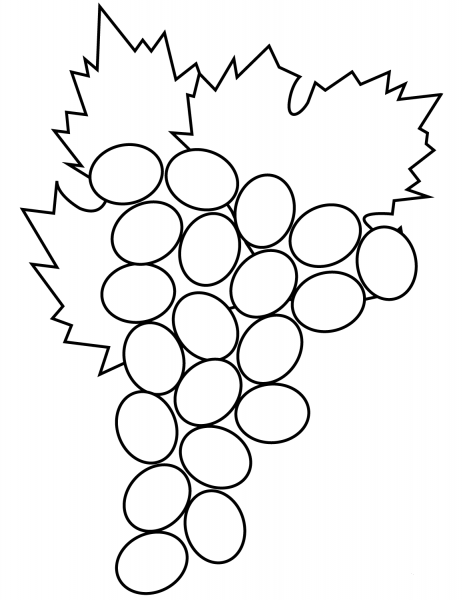 Grapes coloring page image