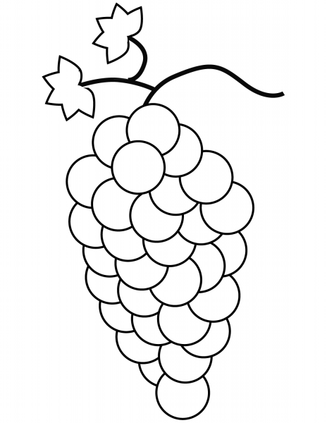 Grapes coloring page image