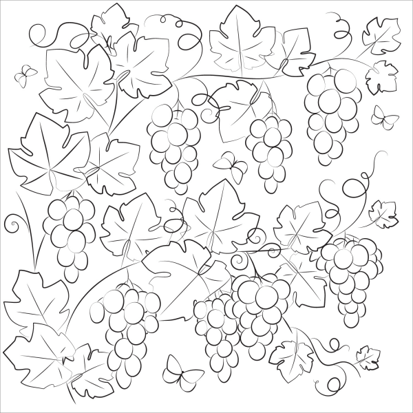 Grapevine coloring page image