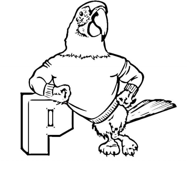 Gray Parrot  coloring page image