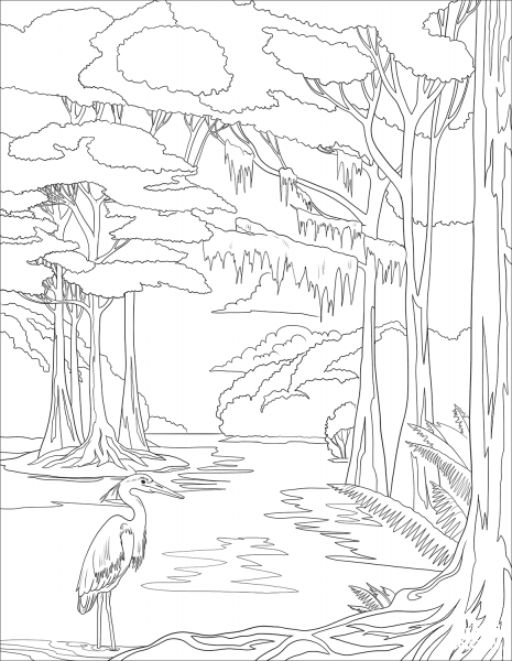 Great Blue Heron coloring page image