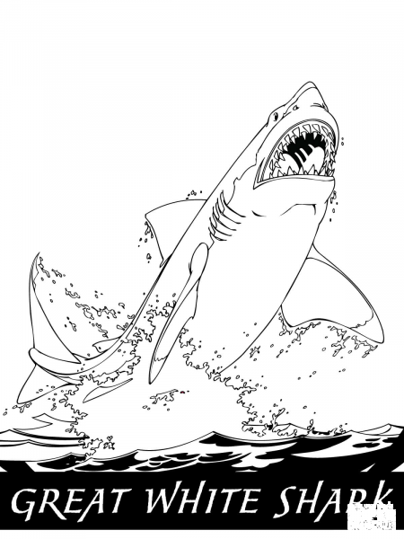 Great White Shark Jumping Out of the Water coloring page image