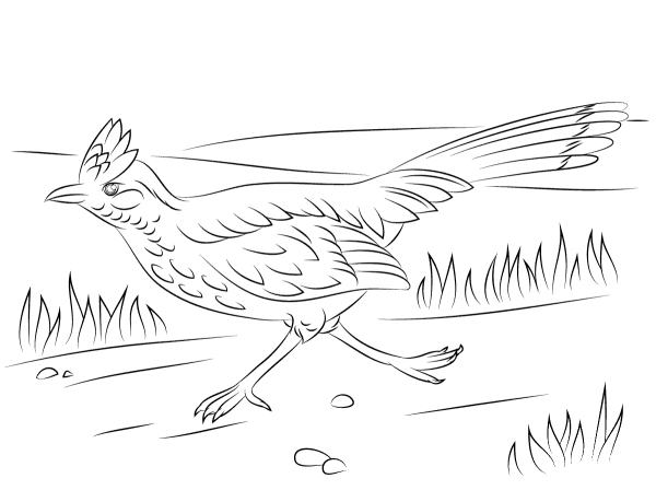 Greater Roadrunner on The Run coloring page image