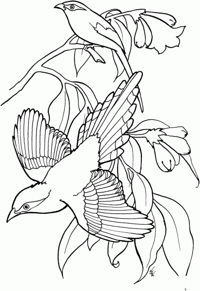 Green Magpies coloring page image
