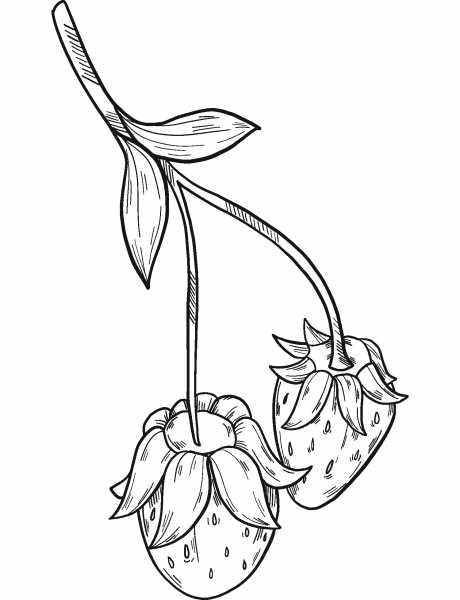 Green Strawberry coloring page image