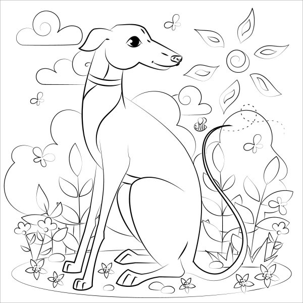Greyhound coloring page image