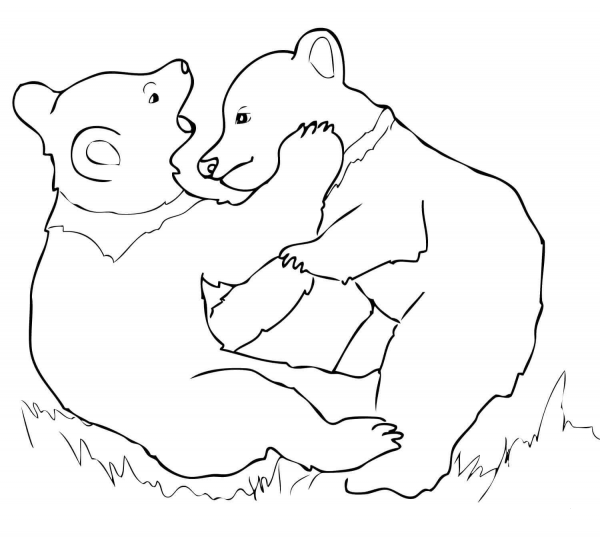 Grizzly Bear Cubs Playing coloring page image