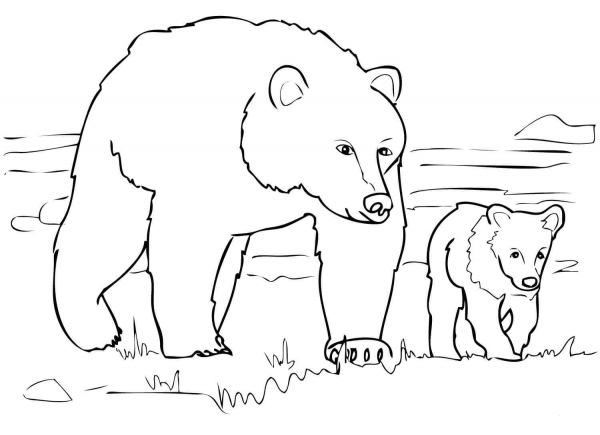 Grizzly Bear Family coloring page image