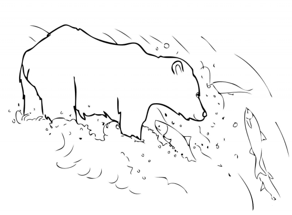 Grizzly Bear is Fishing coloring page image