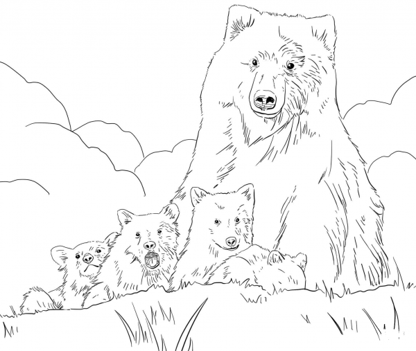 Grizzly Bear Mother and Cubs coloring page image