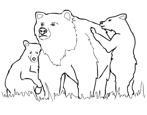 Grizzly Bear Mother and Cubs  coloring page image