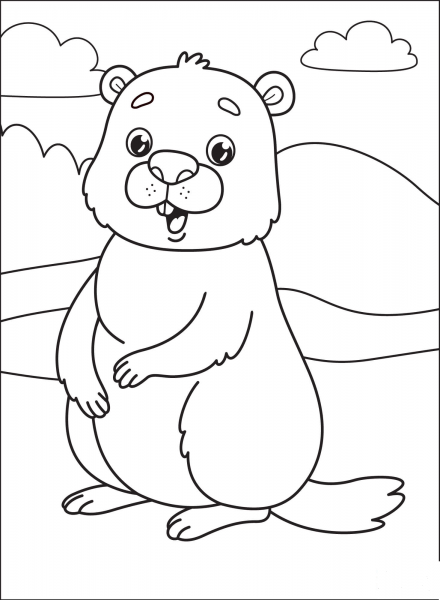 Groundhog coloring page image