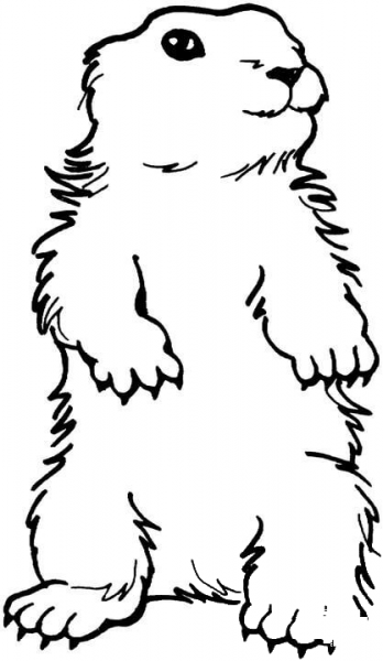 Groundhog  coloring page image
