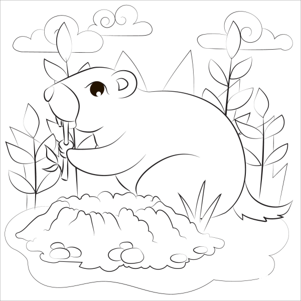 Groundhog coloring page image