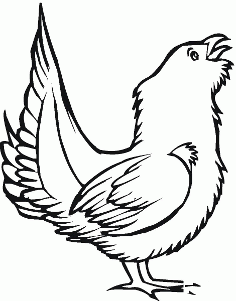 Grouse Bird  coloring page image