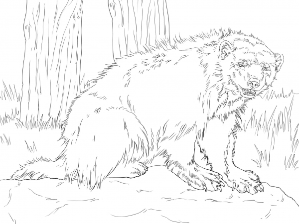 Growling Wolverine coloring page image