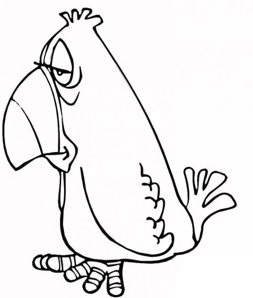 Grumpy Parrot coloring page image