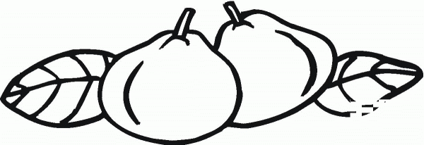 Guava coloring page image