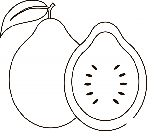 Guava coloring page image