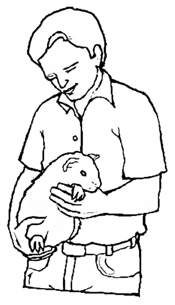 Guinea Pig in the Hands  coloring page image