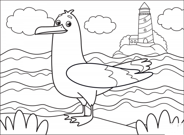 Gull coloring page image