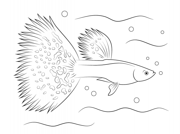 Guppy coloring page image