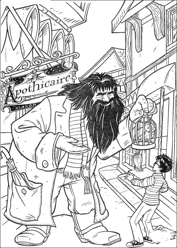 Hagrid Offers Parrot To Harry Potter coloring page - ColouringPages