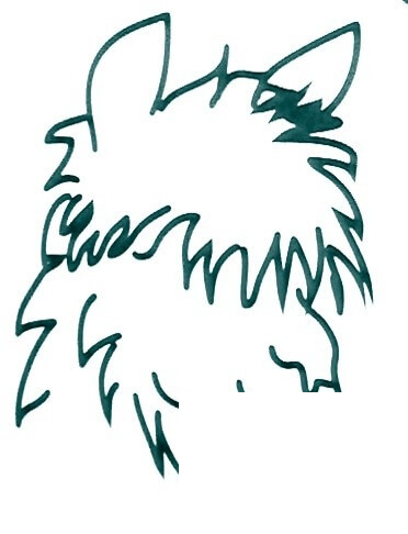 Hairy Alpaca  coloring page image