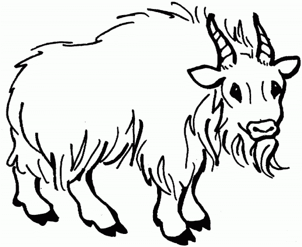 Hairy Mountain Goat coloring page image