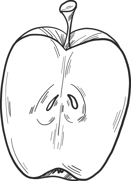 Half Apple coloring page image