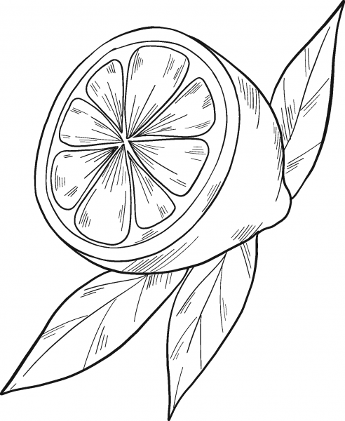 Half Lemon coloring page image