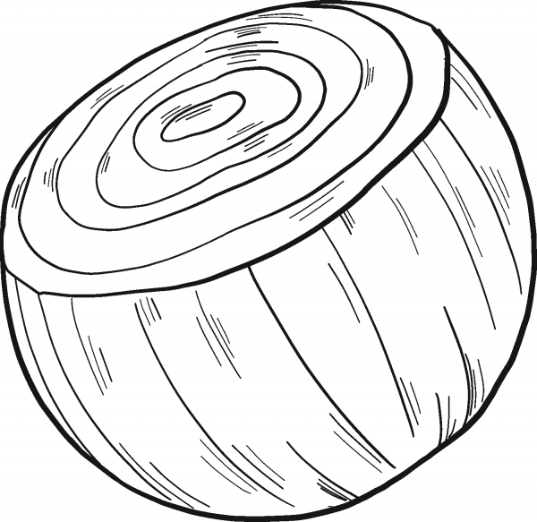 Half Onion coloring page image