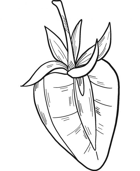 Half Strawberry coloring page image