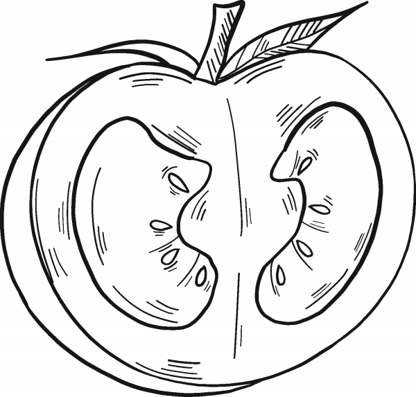 Half Tomato coloring page image
