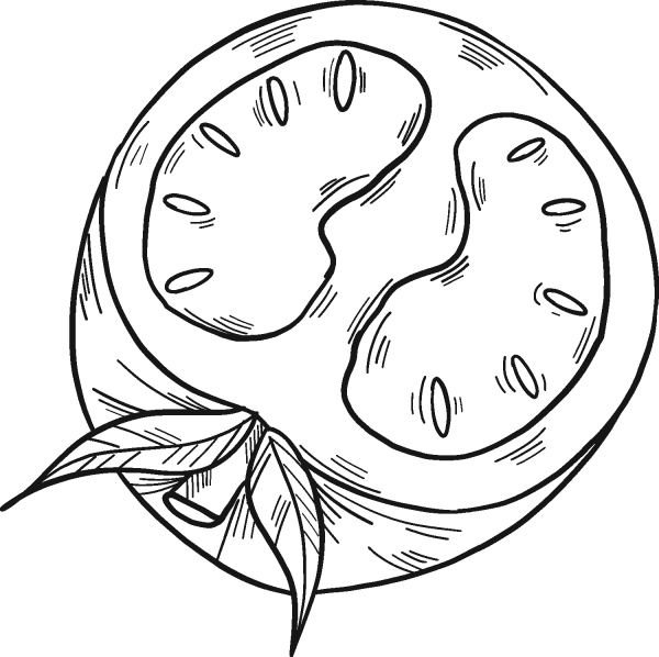 Half Tomato coloring page image