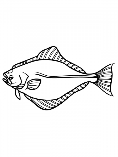 Halibut coloring page image