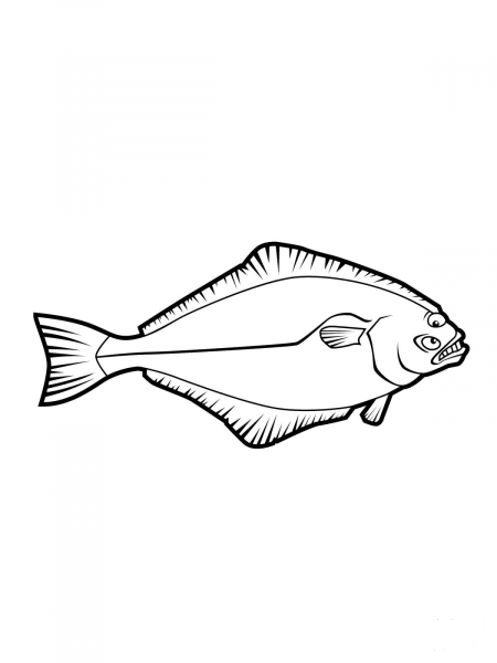 Halibut Flatfish coloring page image